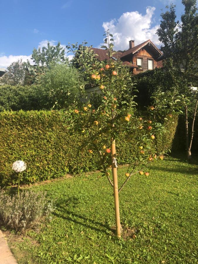 Auszeit Im Allgaeu Sonthofen Bagian luar foto