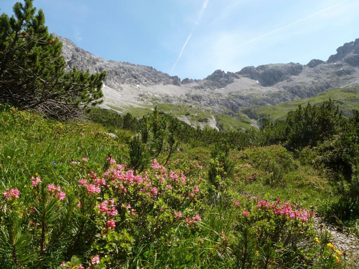 Auszeit Im Allgaeu Sonthofen Bagian luar foto